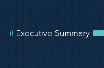 Executive Summary